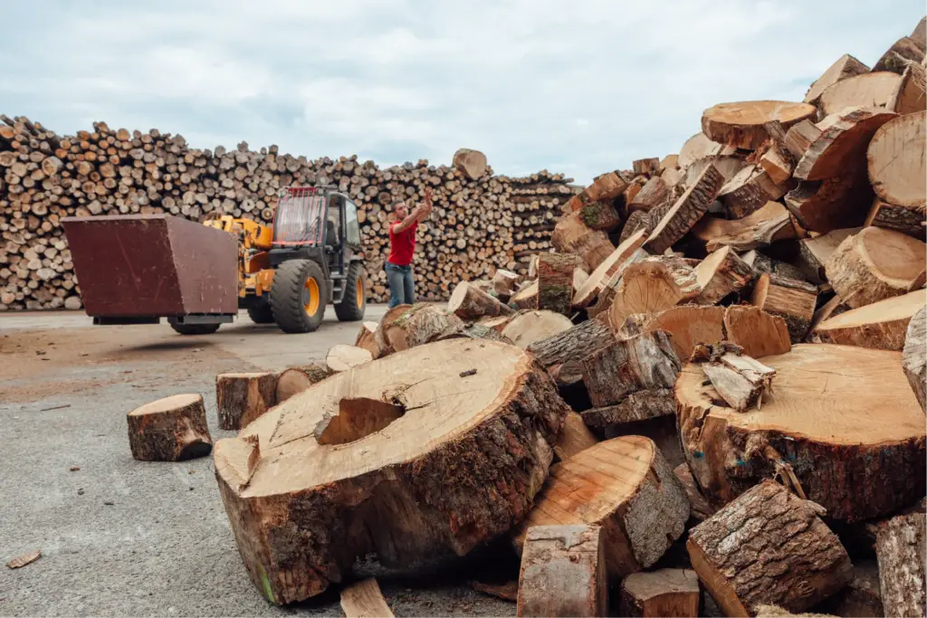 Rondins de bois