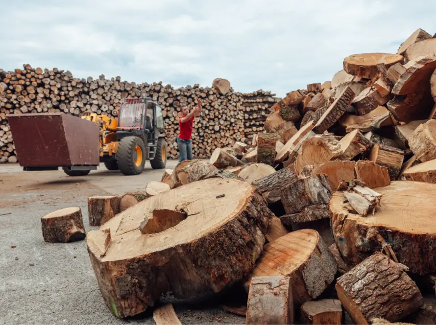 Rondins de bois