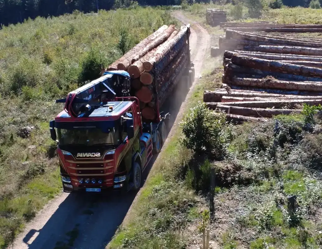 camions transports forestier