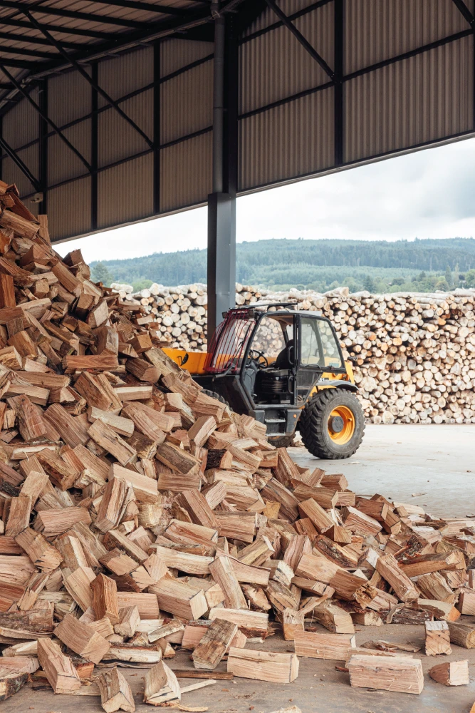 Tas de bois coupé et criblé